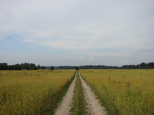 34710 (a): :1024x768